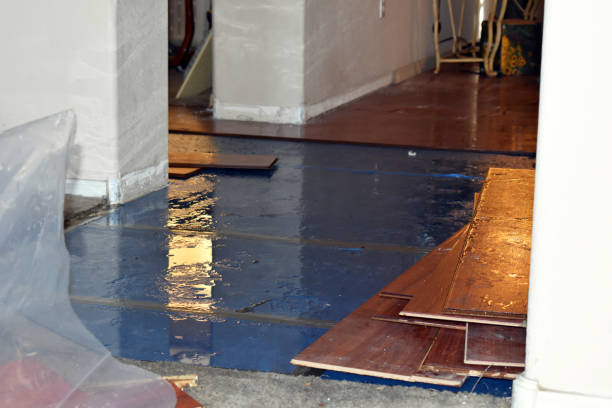 Professional Basement Water Removal technician working in Denville, NJ