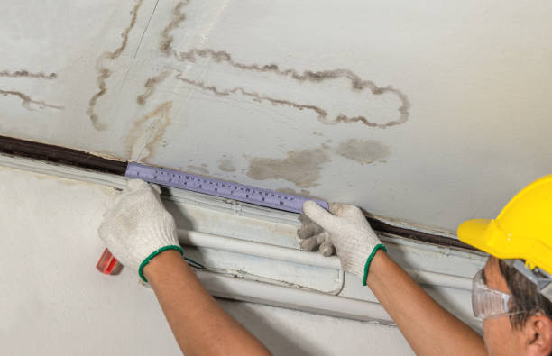Reliable Basement Water Removal contractor in Denville, NJ by Water Damage Irwin